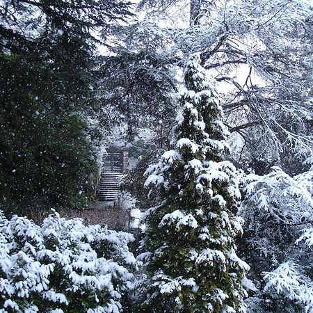 瓦雷泽Il Parco E Gli Affreschi公寓 外观 照片